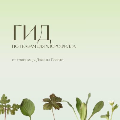 Гид по травам для хлорофила обложка