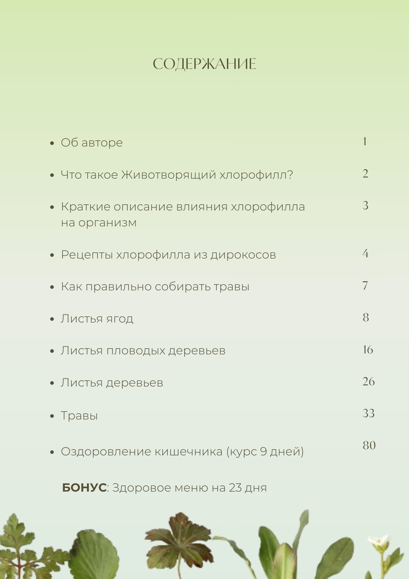 Гид по травам для хлорофила содержание