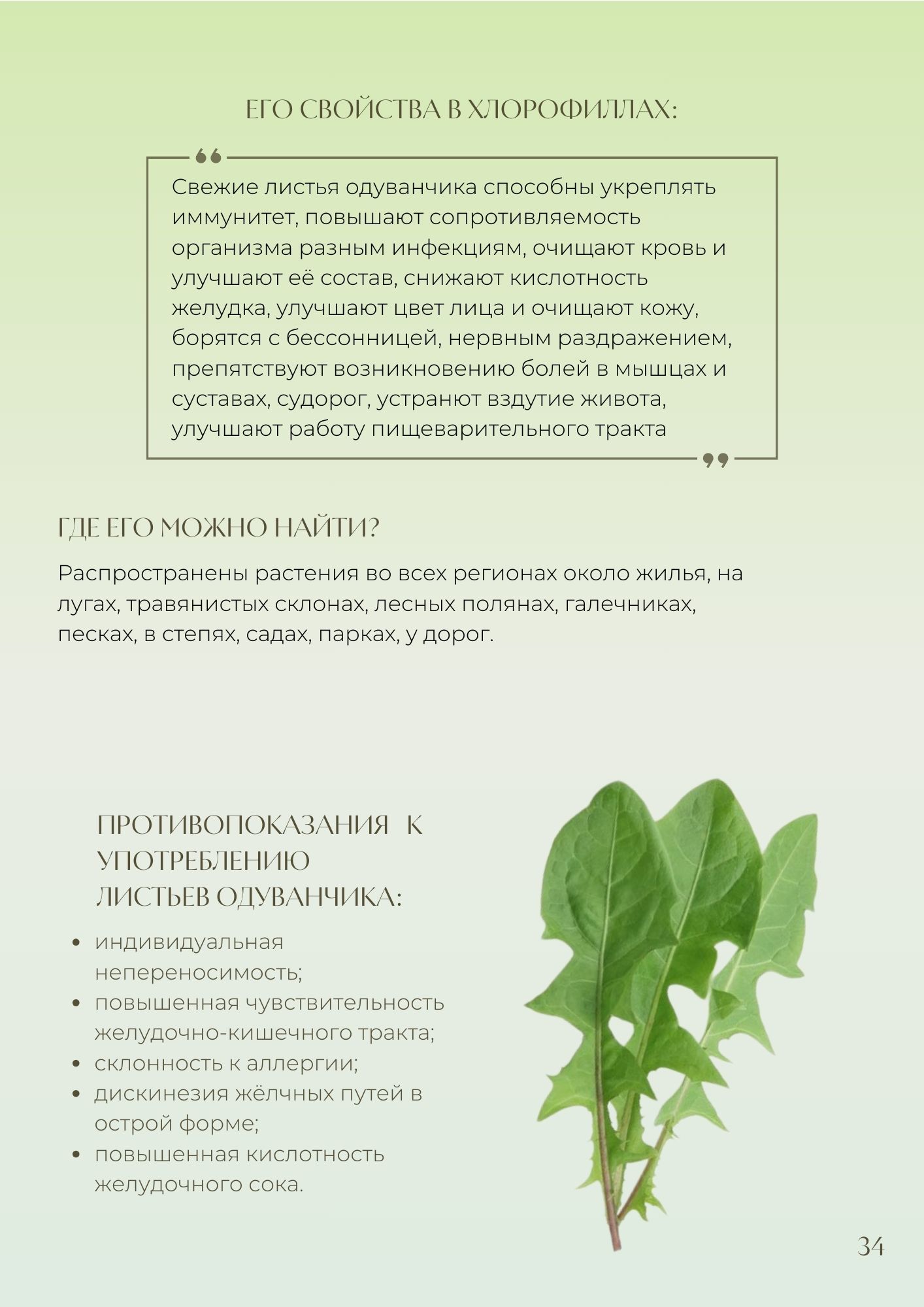 Гид по травам для хлорофилла - imagine 4